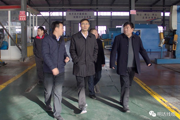 ʡ�г��ϵ�־ֳ���������KAIYUN